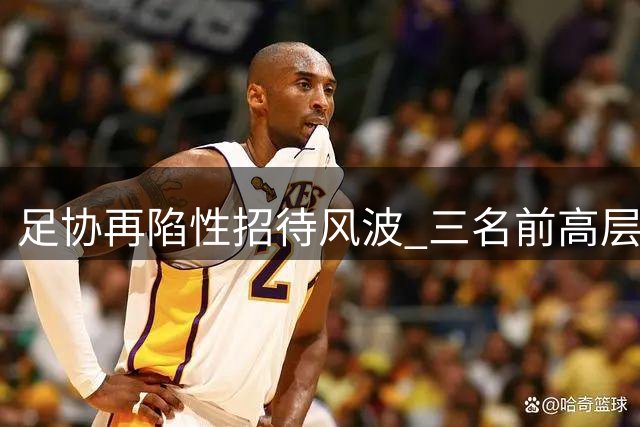 足协再陷性招待风波 三名前高层被指涉案